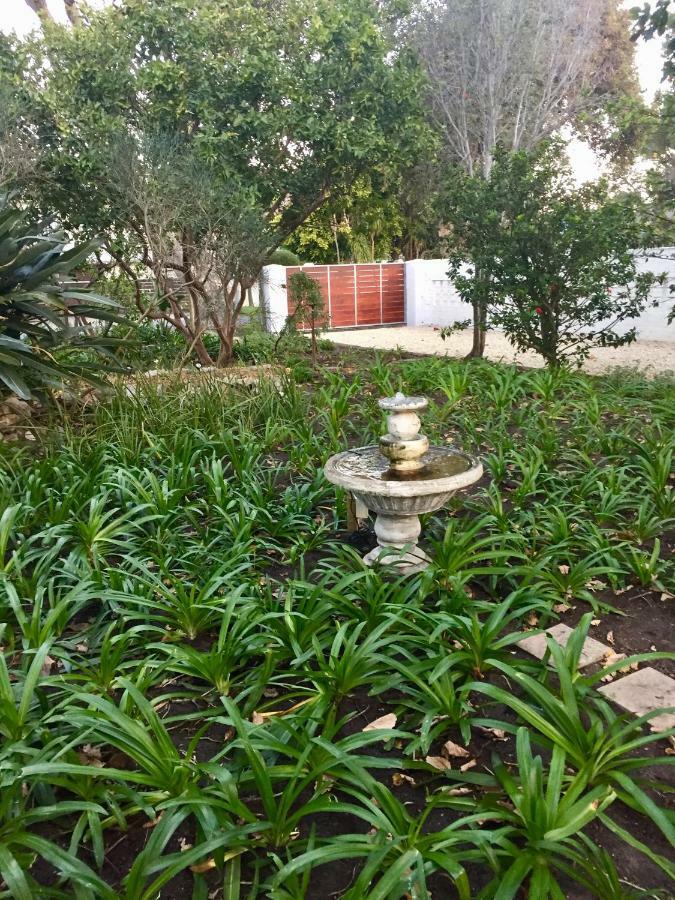 Acorn Cottage Hermanus Extérieur photo