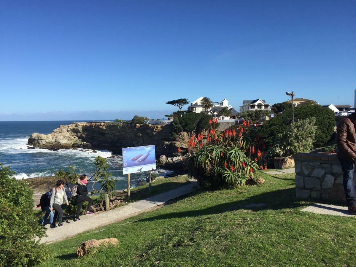 Acorn Cottage Hermanus Extérieur photo