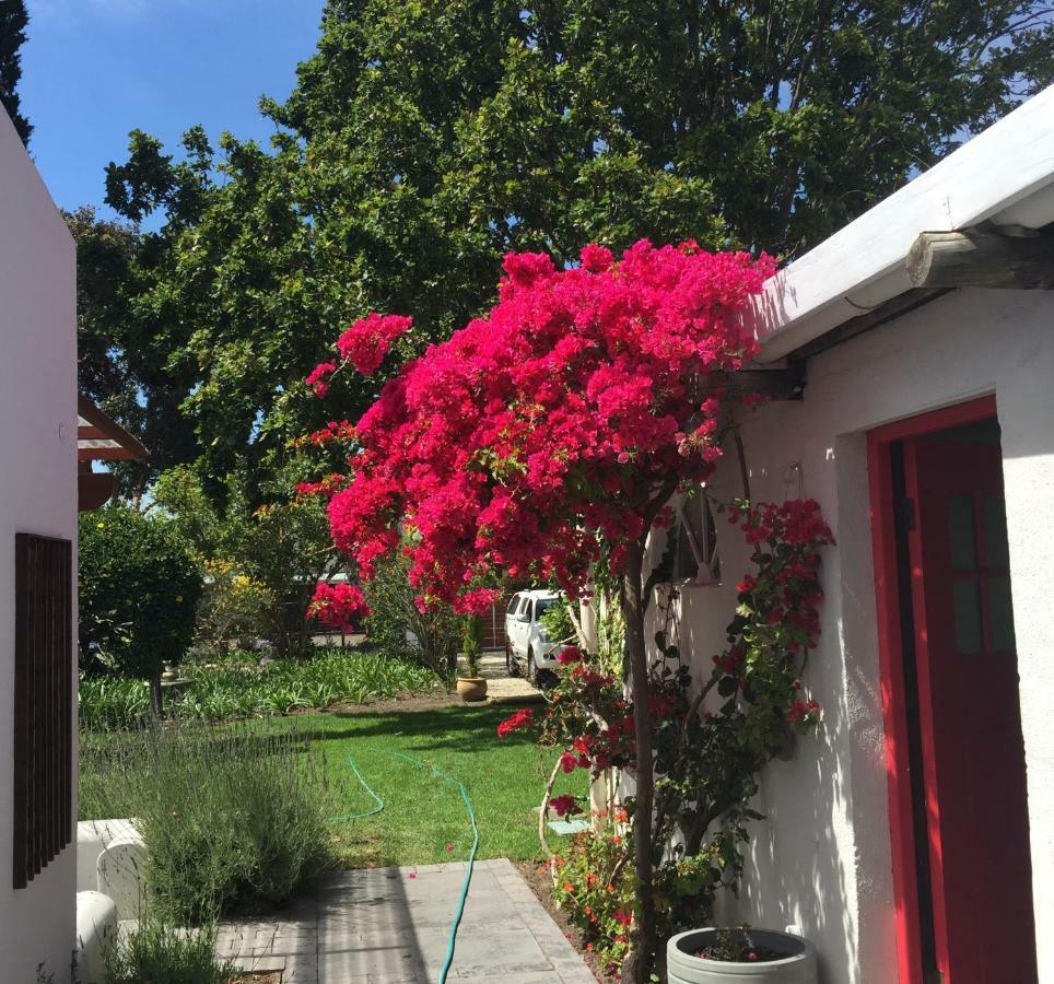Acorn Cottage Hermanus Extérieur photo